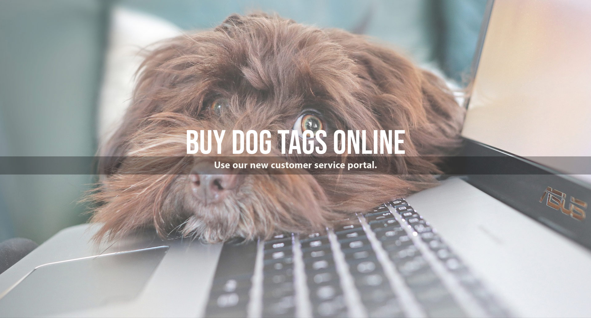 Animal best sale tags online