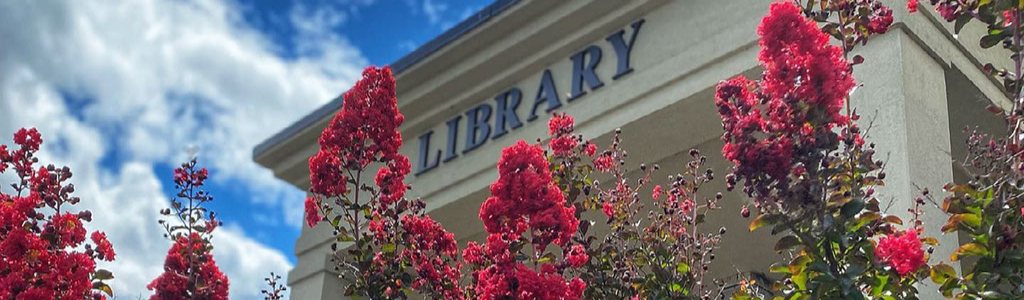 library-entrance