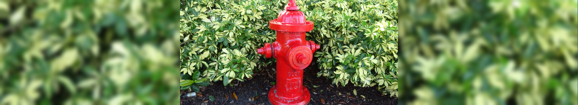 full width banner adopt hydrant